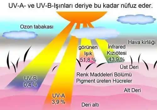 UV Koruması Nedir Göz ve Cilt Sağlığında Önemi ve Doğru Kullanım Rehberi