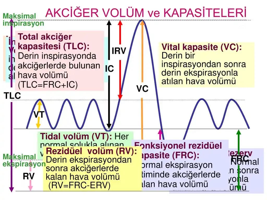 Volüm Kaybı Nedir? Kozmetik ve Sağlık Açısından Detaylı İnceleme ve Çözüm Yöntemleri