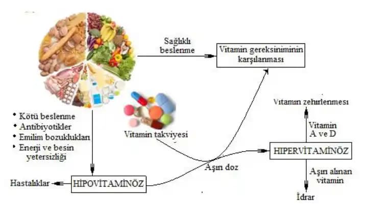 Vücutta Vitaminlerin Kozmetik Üzerindeki Etkileri ve Güzellik İçin Önemi