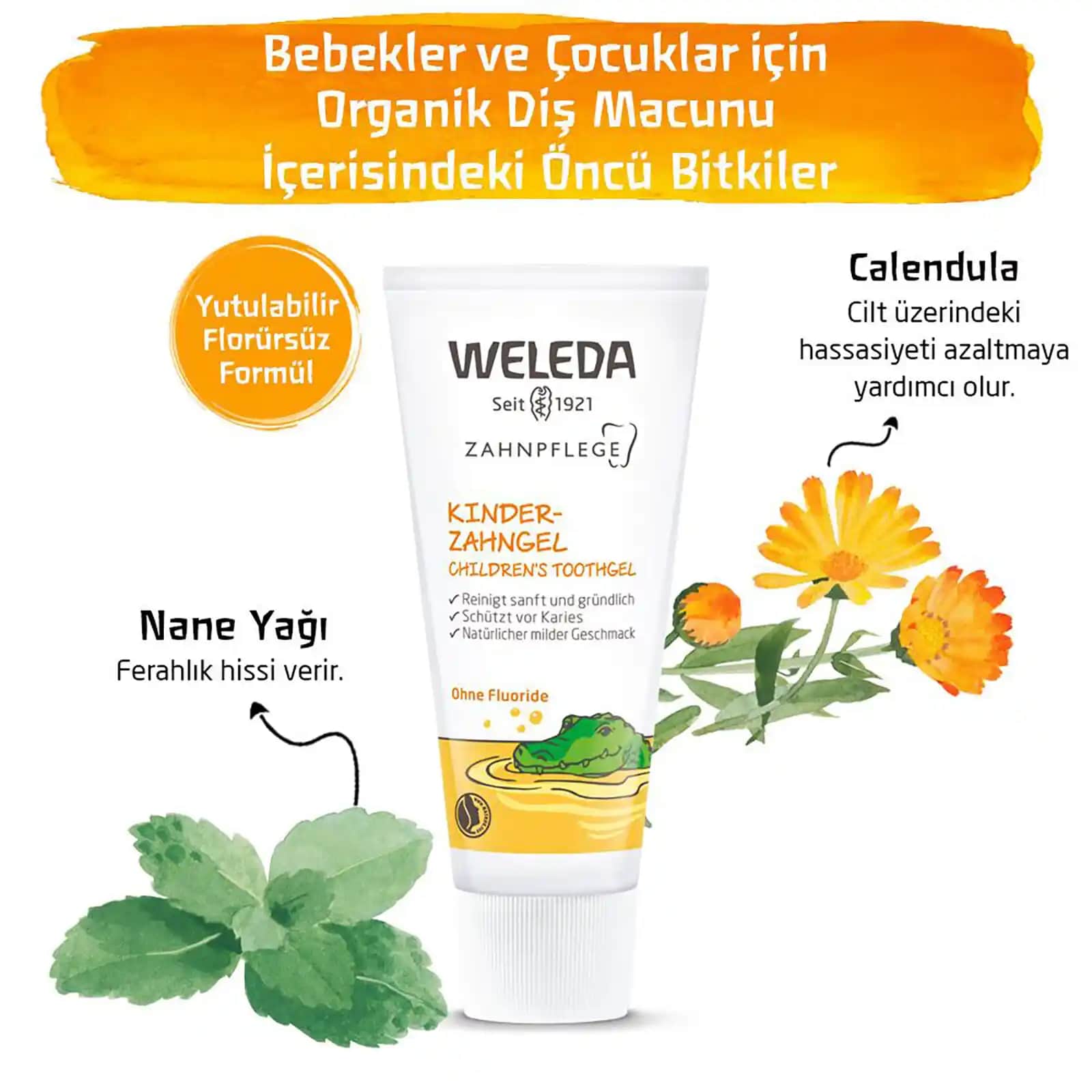 Weleda Doğal Diş Macunu: Hassas ve Güvenli Ağız Bakımı İçin En İyi Seçenekler