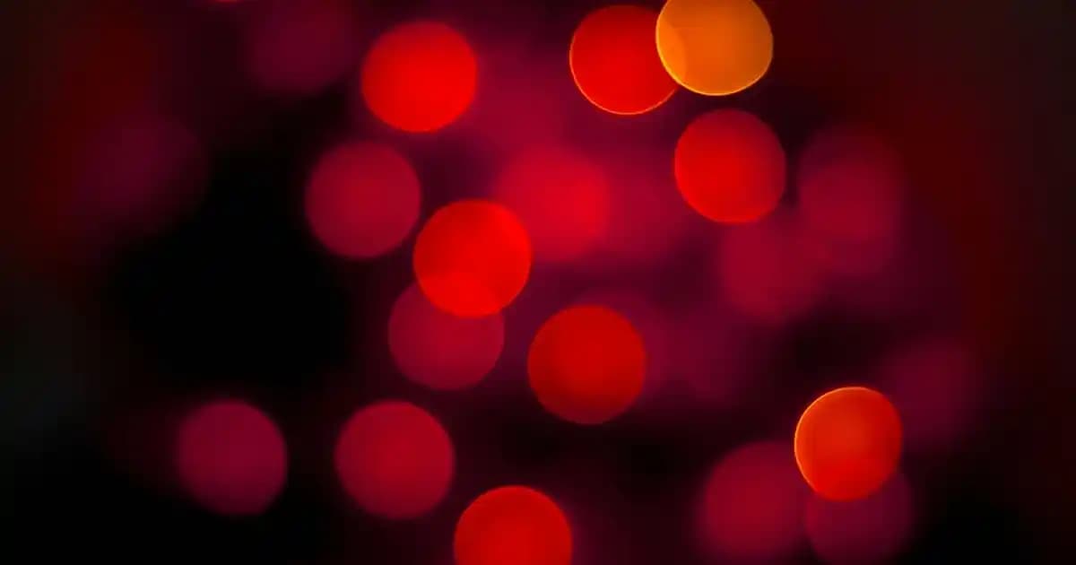 Elensilia Markası Hakkında Güncel Bilgi ve Sektördeki Yeri Analizi