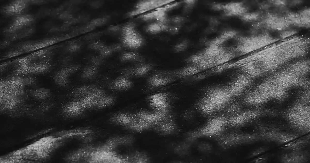 Göz Altı Yağ Bezi Nedenleri ve Tanı Yöntemleri Hakkında Bilgi