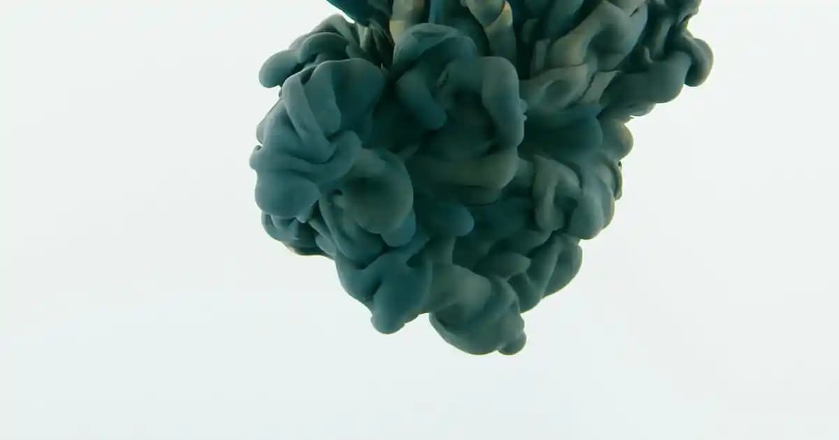 ZARA Kadın Parfümleri: Uygun Fiyatlı ve Trend Belirleyici Seçenekler