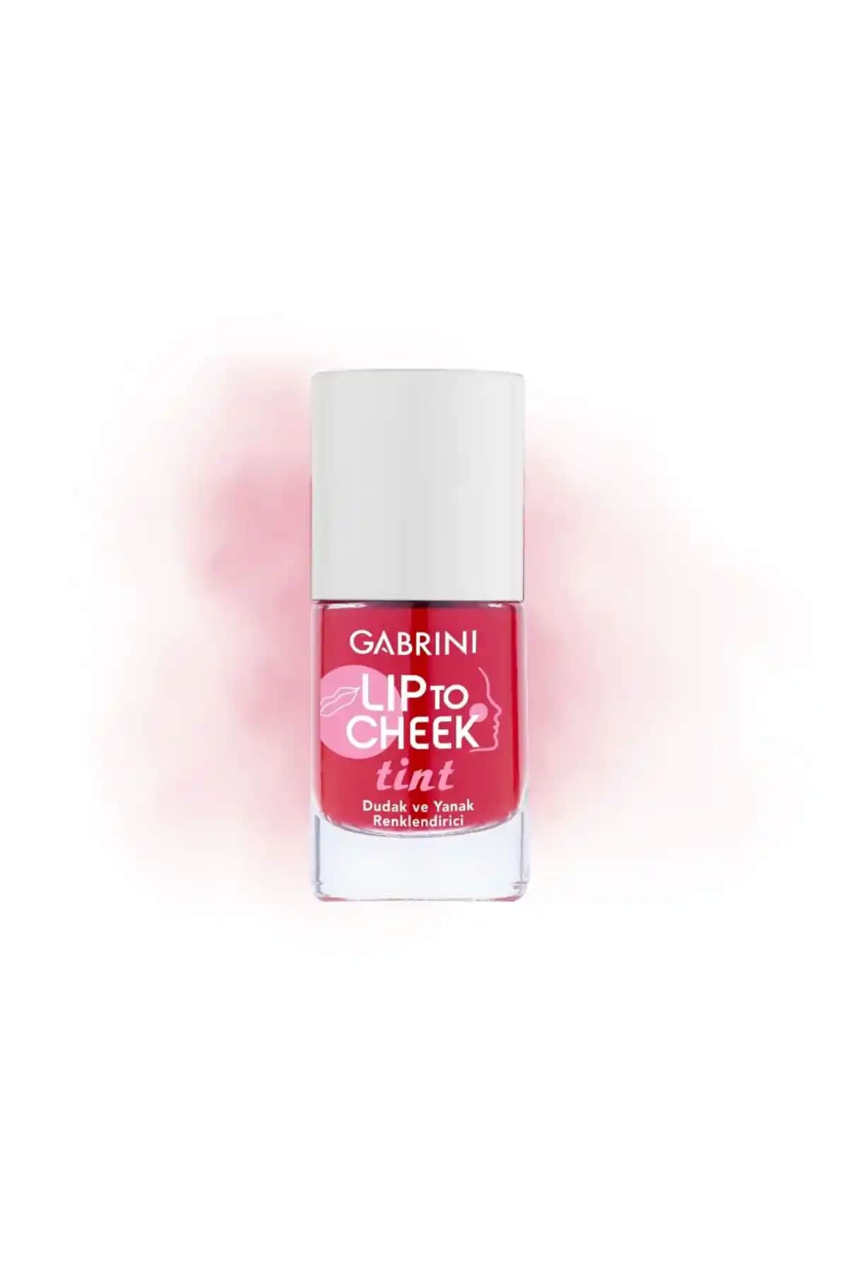 Gabrini Lip To Cheek ve Lesvip's 24 Saat Kalıcı Tint Karşılaştırması