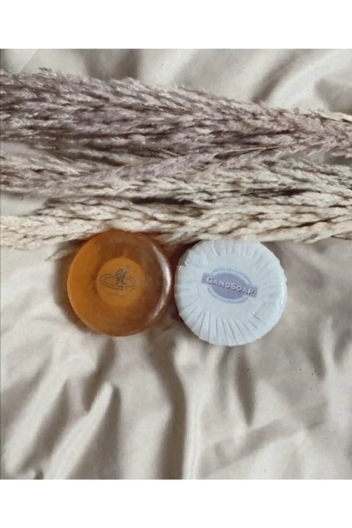 GanoExcel Gano Keçi Sütlü ve Derma Mantarlı Sabunlar Karşılaştırması