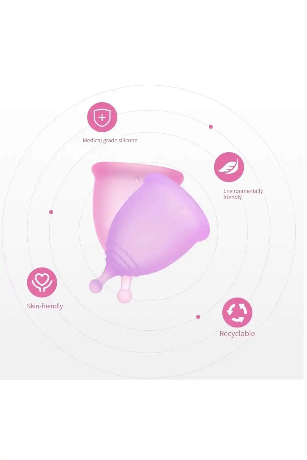 ELFSELY ve Genel Markalar Regl Kabı Karşılaştırması: Hangi Ürün Sizin İçin Uygun