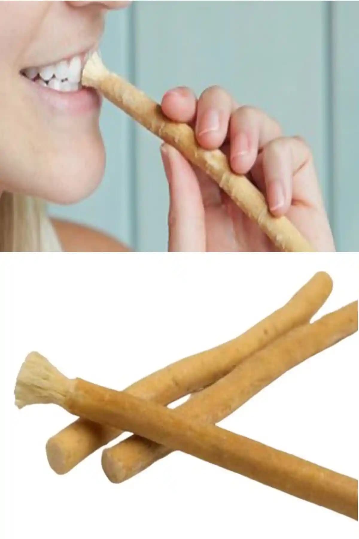 RoseRoi 3 Adet Misvak Paketi Doğal ve Hijyenik Diş Bakımı Ürünü Türkiye Menşei