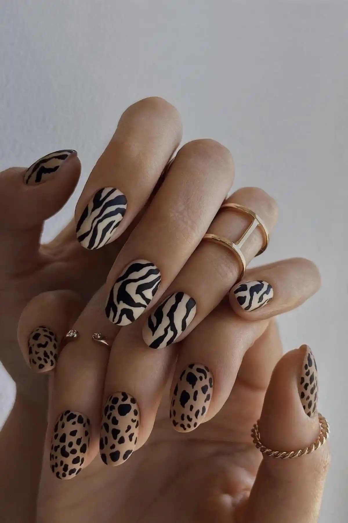 Tırnaklarınızı Canlandıran Leopar ve Zebra Desenli Nail Art Süsü Ürün Tanıtımı ve Kullanım Rehberi