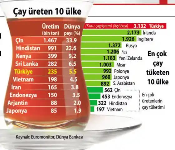 Çay Esanslı Parfümler: Deneyimlere Dayalı Kapsamlı İnceleme ve Öne Çıkanlar