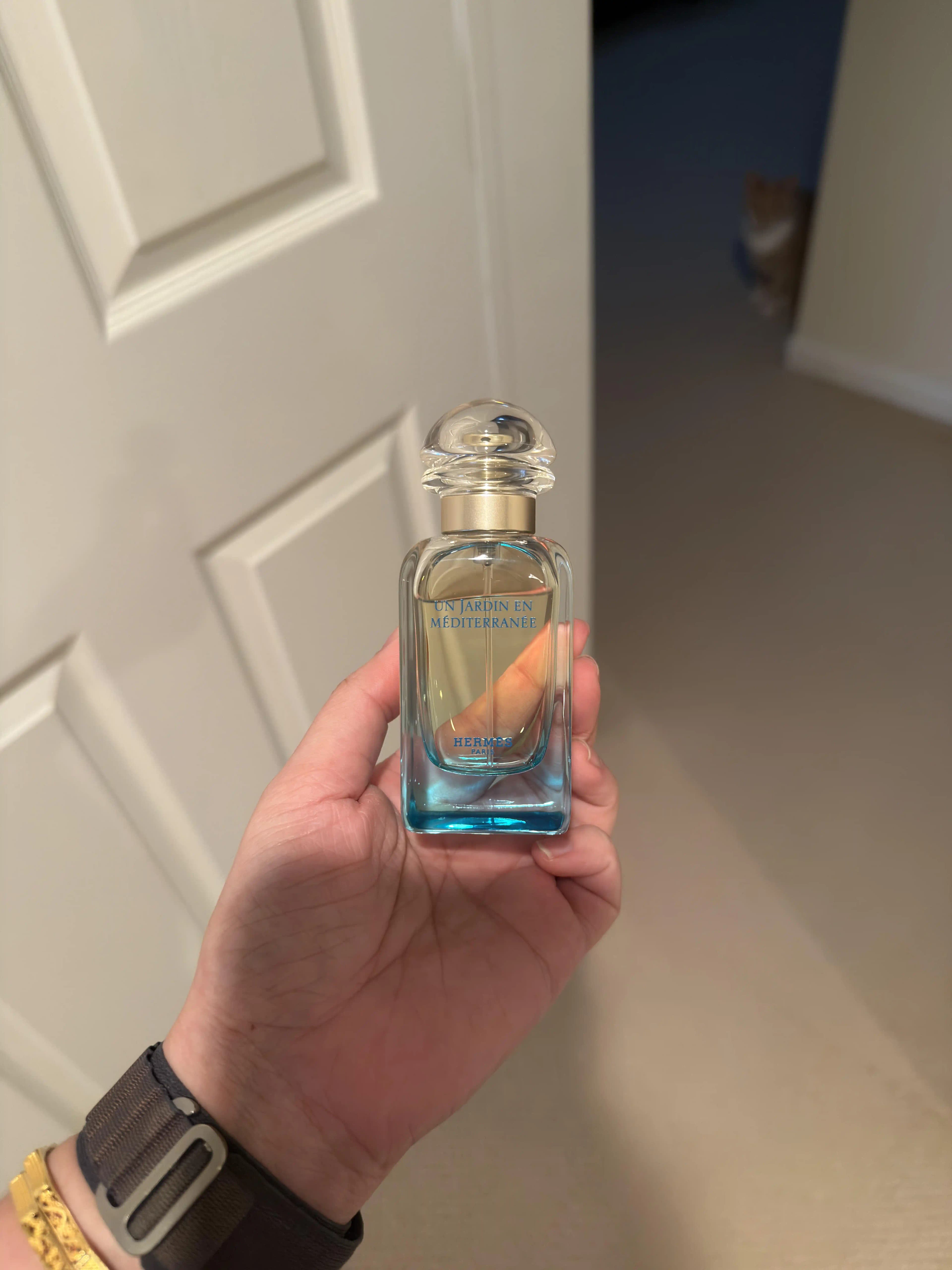 Hermès Un Jardin en Méditerranée: Yazlık ve Ferah Figür Kokusu Deneyimi