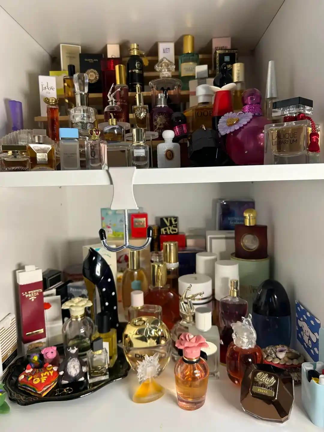 Parfüm Koleksiyonları: Modern ve Vintage Kokuların Değerlendirilmesi ve Kullanıcı Deneyimleri