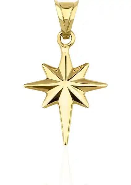 Fiyonk Kuyumculuk 14 Ayar Altın Mini Kuzey Yıldızı Kolye Ucu Günlük Kullanım İçin Şık Tasarım