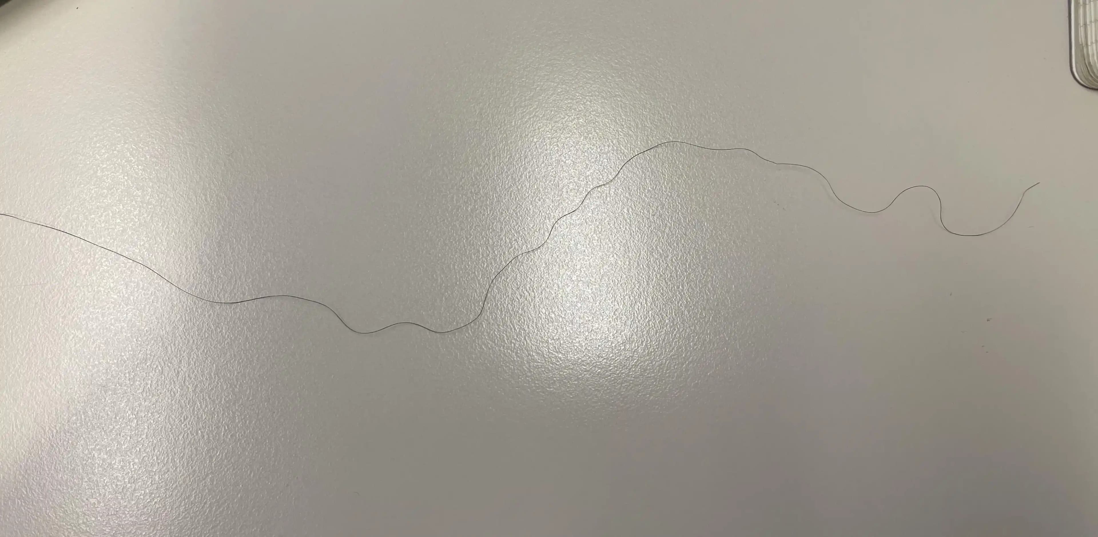 Saçtaki Farklı Tüylerin Nedenleri ve Bilimsel Açıklamaları Üzerine Detaylı İnceleme