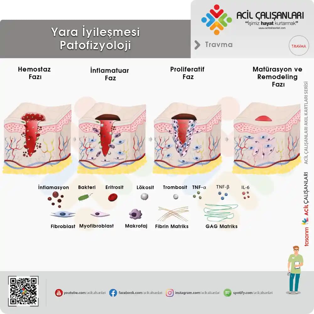 Yara İzlerinin Uzun Süre Kırmızı Kalmasının Nedenleri ve Etkili Tedavi Yöntemleri