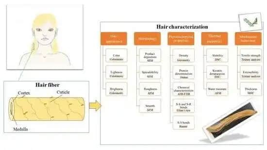 K18 ve Olaplex Ürünlerinin Saç Onarım Performansının Bilimsel Değerlendirmesi ve Karşılaştırması