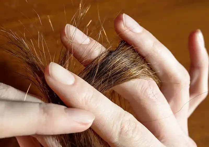 Saç Kırık Uçları Kesmeden Sağlıklı Saça Ulaşmanın Bilimsel İncelenmesi