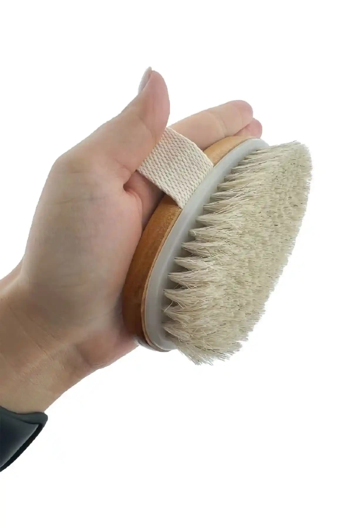 İlterus ve Rowenaroze At Kılı Fırçaları Karşılaştırması: Hangi Ürün Daha Etkili