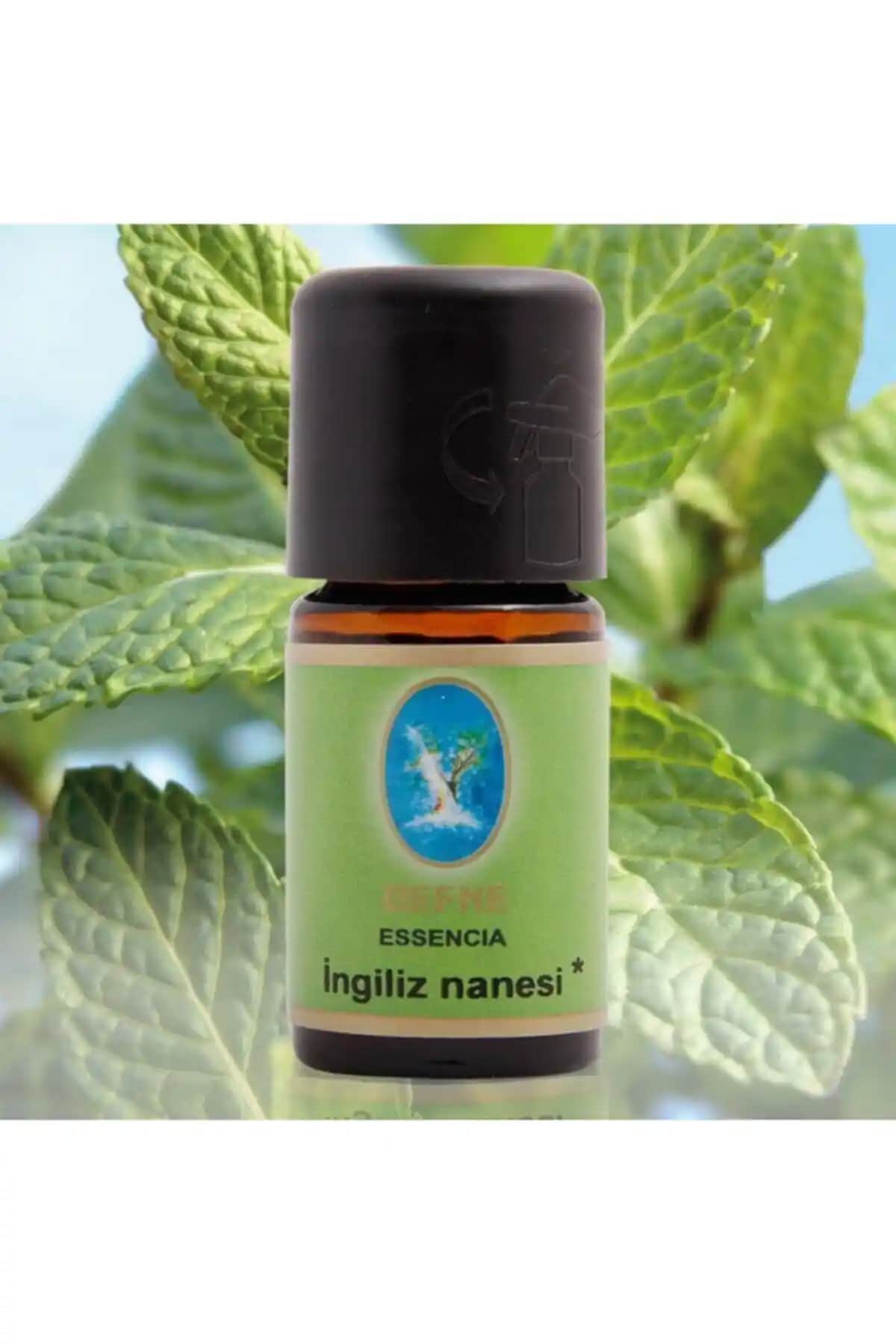 Organik İngiliz Nanesi Yağı 10 Ml Doğal Aromaterapi ve Cilt Bakımı İçin Uygun