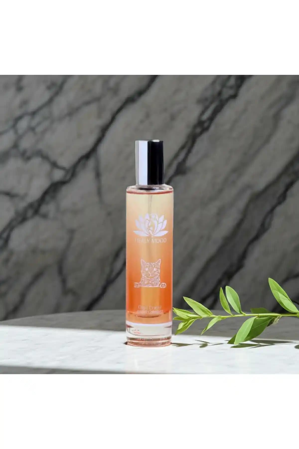 Healy Mood Dişil Enerji Vücut Spreyi: Doğal Denge ve Bilinç Yükseltici Özellikler