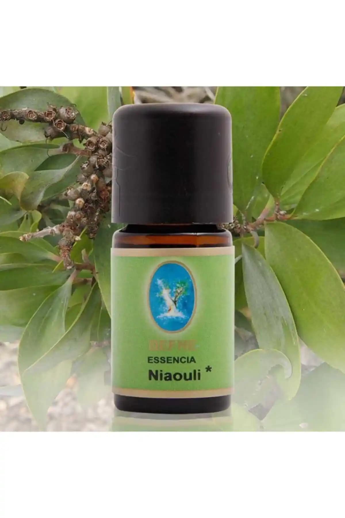 Nuka Organik Niaouli Yağı 5 ml Doğal ve Çok Yönlü Kullanım İçin Uygun Bir Aromaterapi Ürünü