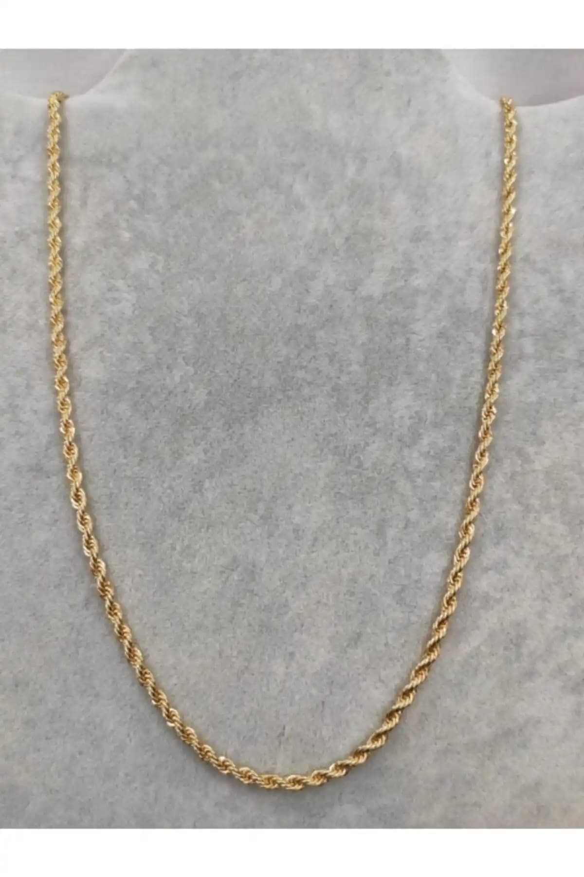 ARI Unisex Altın Sade Burgu Zincir Kolye Günlük ve Şık Kullanım İçin Uygun