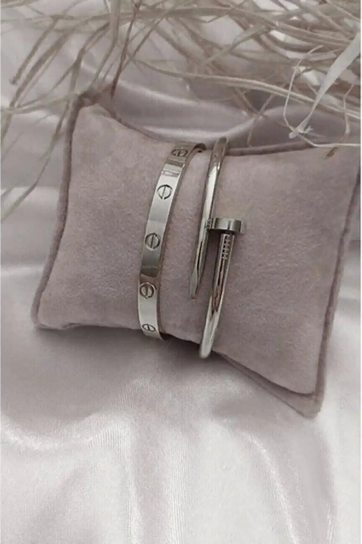 Bers Aksesuar Çivi ve Cartier Çelik Bileklik Seti Güç Renk Modern Tasarım