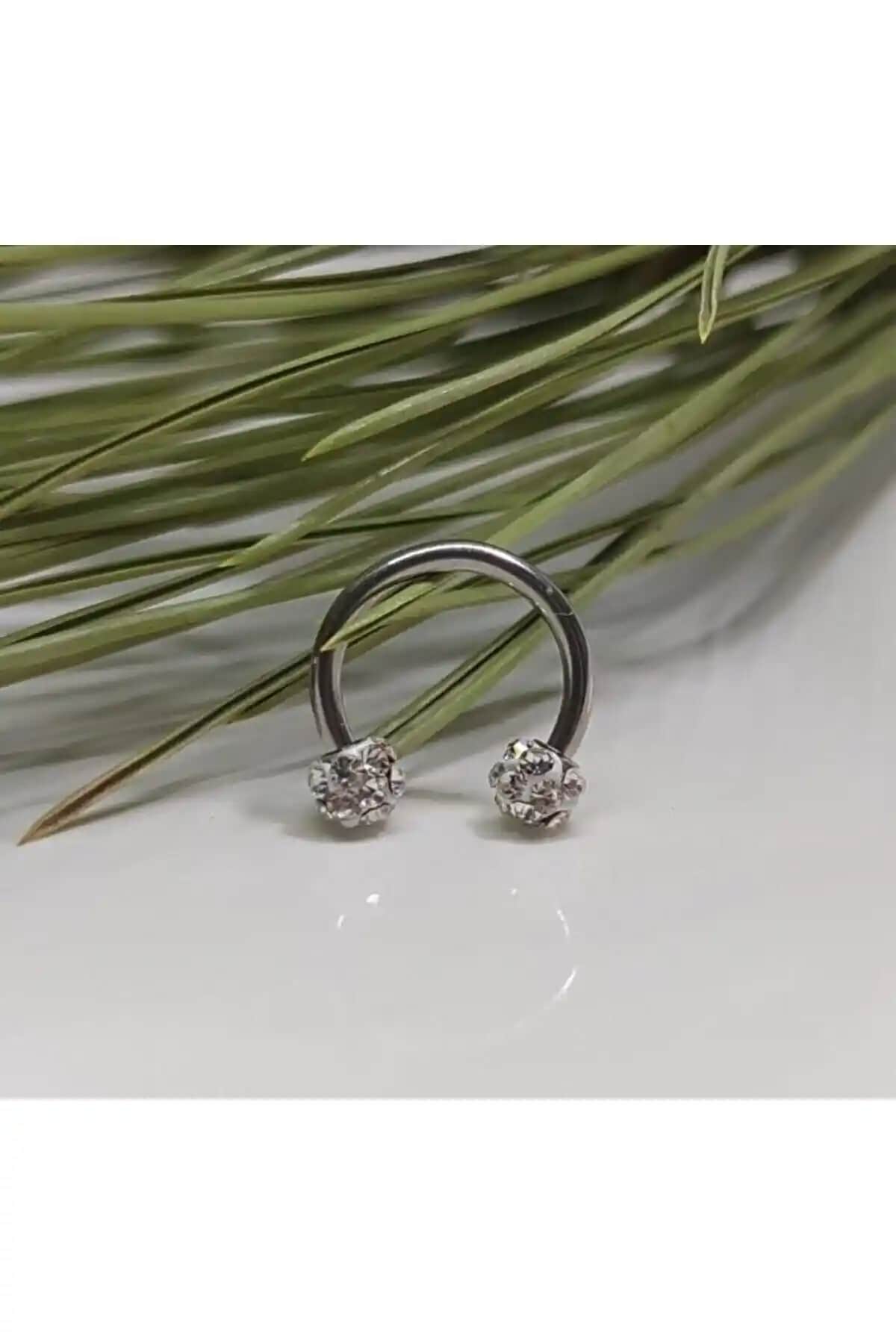 İki Popüler Piercing Ürünü Karşılaştırması: Zirkon Taşlı ve Gü<müş> Menteşeli Halka