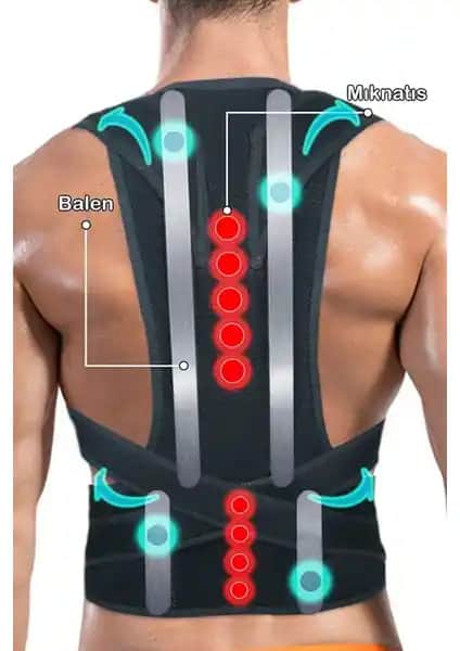 Ankaflex ve Baffhome Dik Durus Korsesi Karşılaştırması: Hangi Ürün Sizin İçin Uygun?