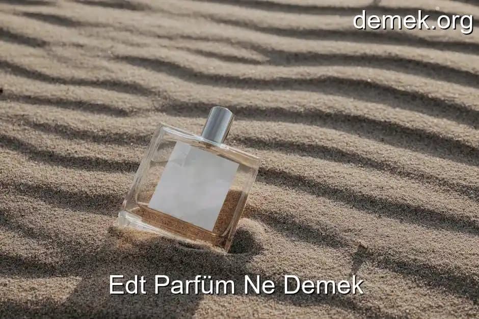 Parfüm İncelemelerinde İlgi Çekici Olumsuz Nitelendirmelerin Anlamları ve Rolü