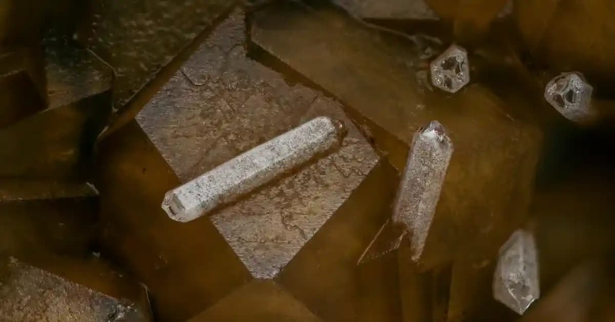 Parmak Kullanımı Olmadan Göz Farı Uygulama Yöntemleri ve Alternatif Teknikler