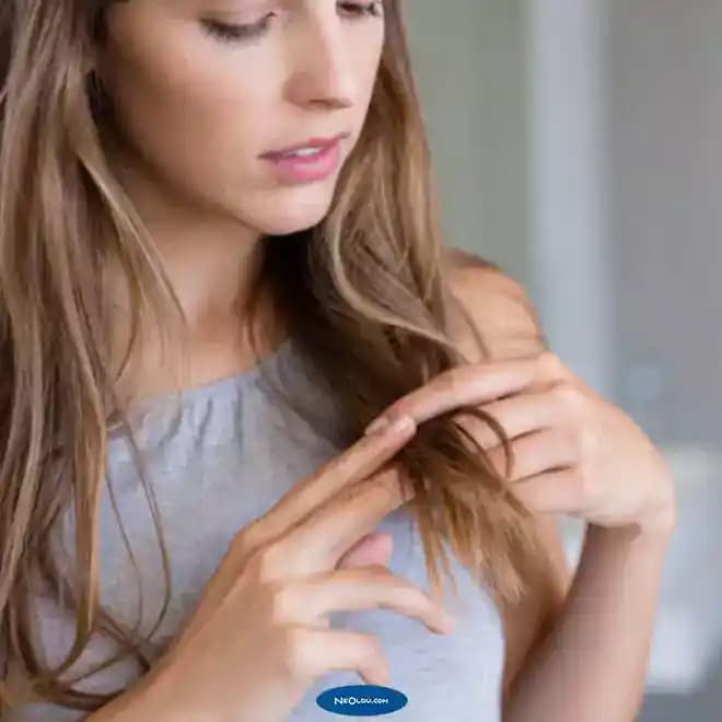 Saç Sağlığında Düzenli Kırpma ve Bireysel Yaşam Döngüsünün Önemi