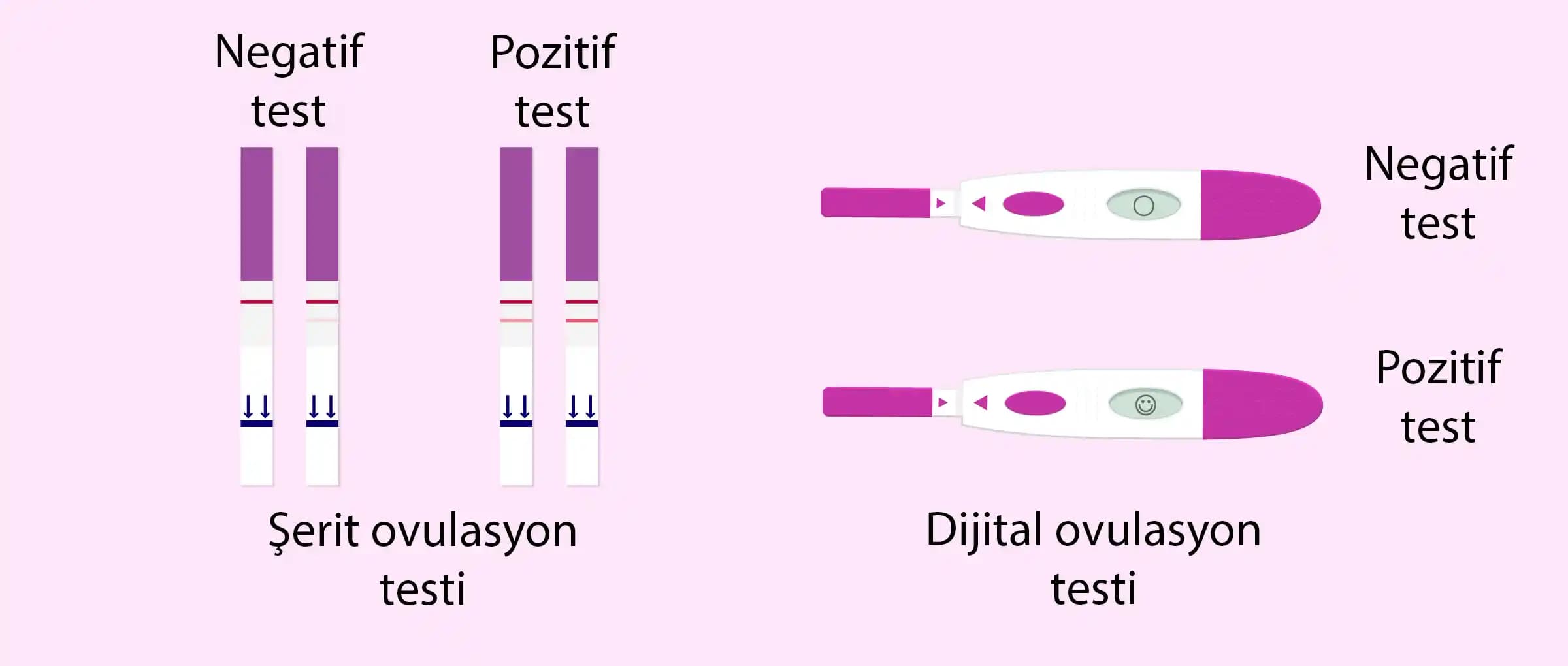 Adet Günü Ovulasyon Testi Pozitif Çıkması: Nedenleri ve Doğru Yorumlama Yöntemleri