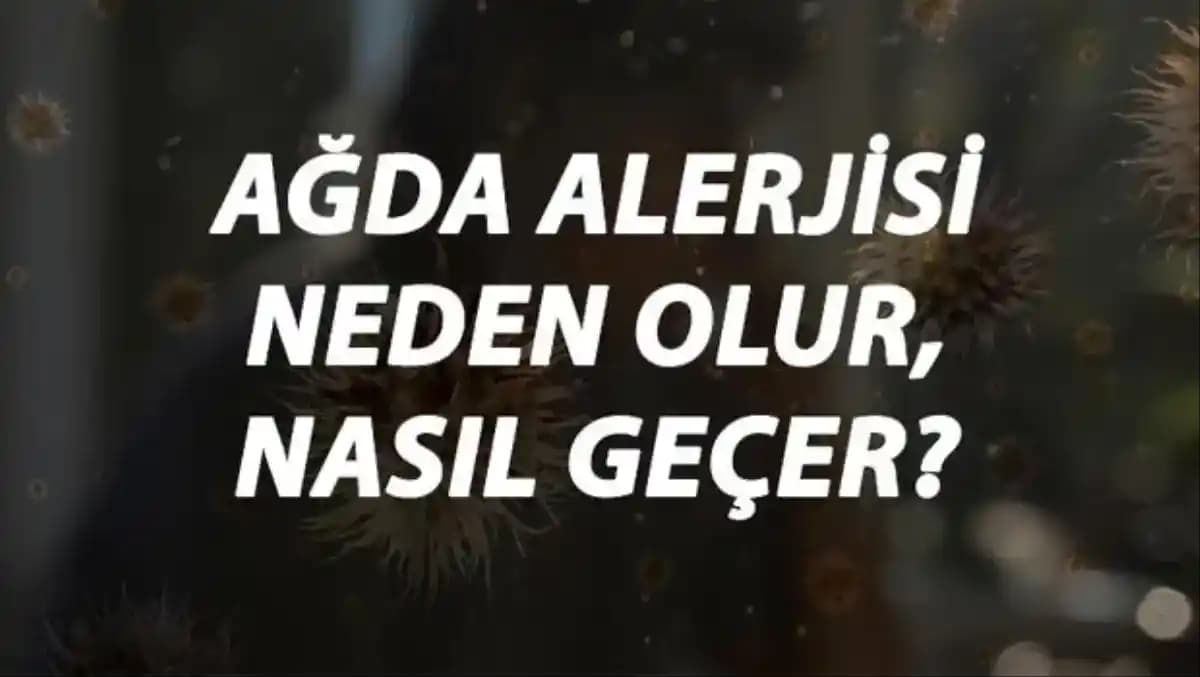 Ağda Alerjisi Nedir? Belirtileri, Nedenleri ve Korunma Yöntemleri Rehberi