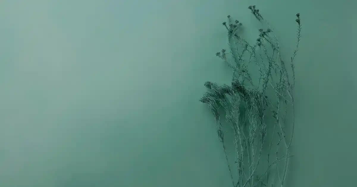 Aknefloks Krem Yüzde Ne Kadar Kalmalı? Doğru Kullanım ve Uygulama Rehberi