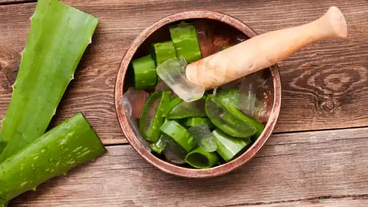 Aloe Vera Ciltte Uzun Süre Kalırsa Ne Olur? Faydaları ve Riskleri İnceleme