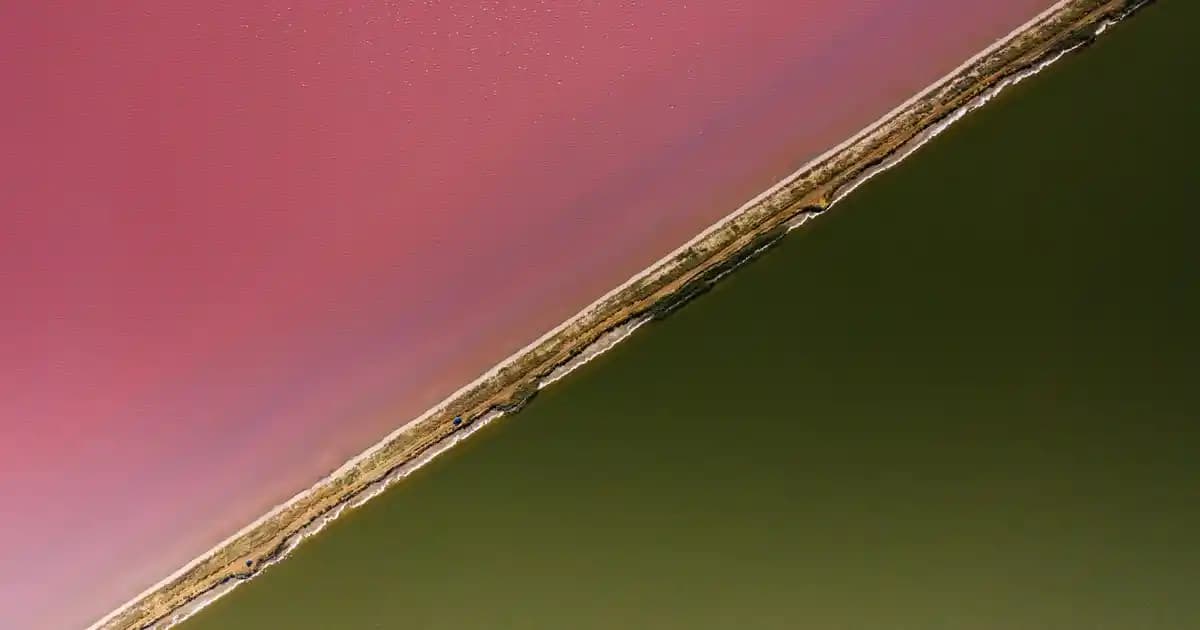 Aloe Vera Kil Maskesi: Cilt Bakımında Doğal Nemlendirici ve Arındırıcı Etkiler