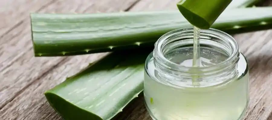 Aloe Vera Saç Bakımı: Doğal Nemlendirme, Saç Derisi Sağlığı ve Saç Uzaması İçin Etkili Yöntemler
