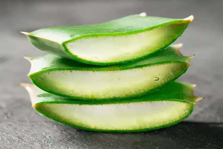 Aloe Vera ve Yüzde Tüylenme: Bilimsel Gerçekler ve Doğru Bilinen Yanlışlar