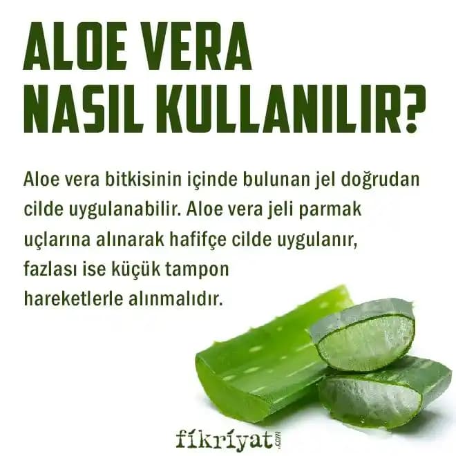 Aloe Vera Yüze Sürülür mü? Doğal Cilt Bakımında Etkili ve Güvenli Kullanımı