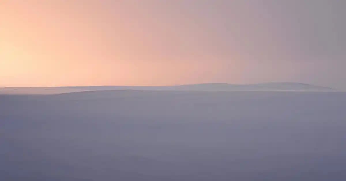 Avemor Göz Altı Maskesi ile Doğal ve Etkili Göz Çevresi Bakımı Sağlayın