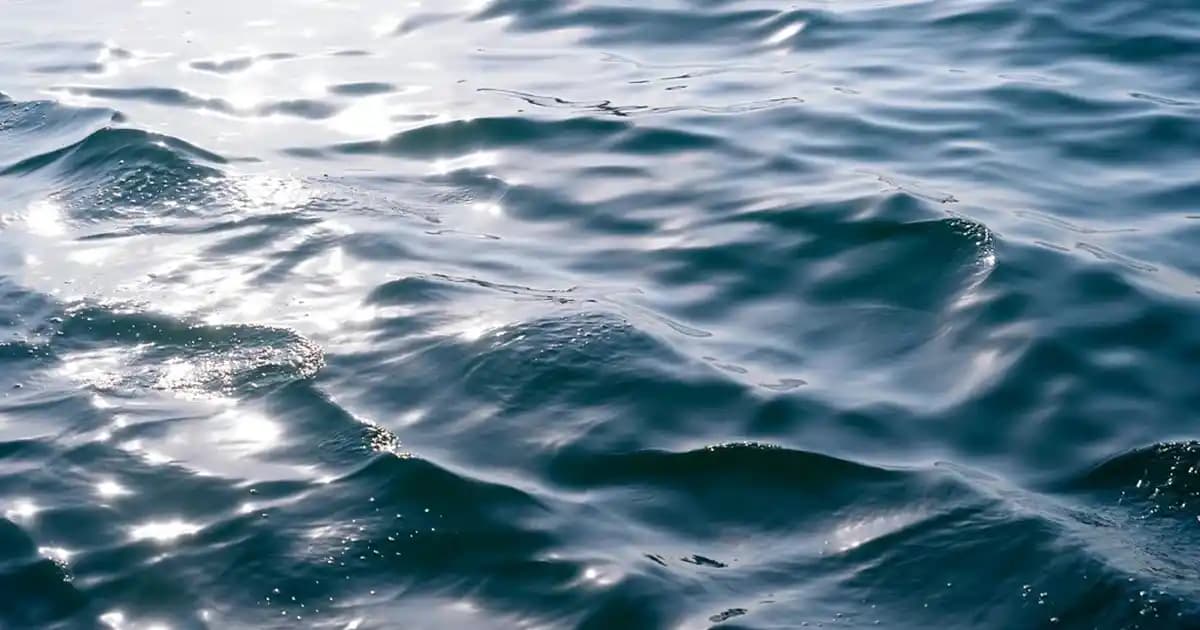 Avicap: Doğal İçerikli Cilt ve Saç Bakımında Nemlendirici ve Anti-Aging Ürün İncelemesi