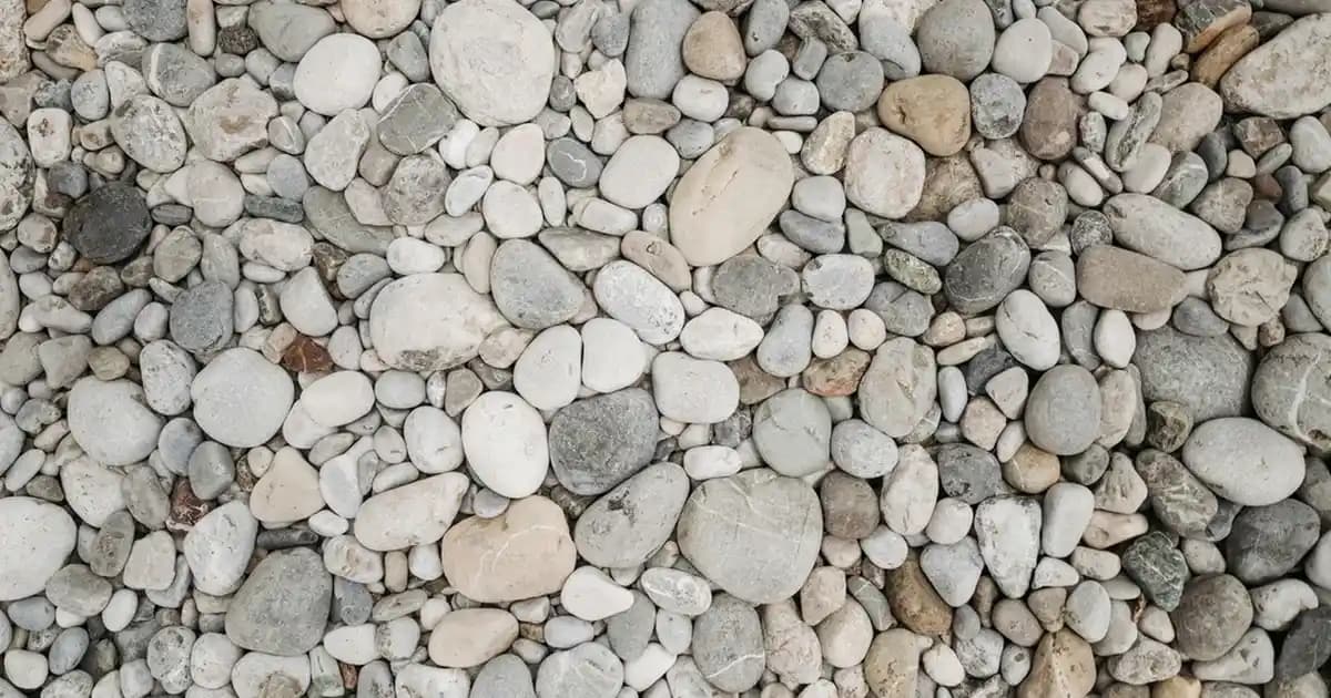 Avicap Nedir? Cilt ve Saç Bakımında Doğal ve Etkili Bir Kozmetik İçerik