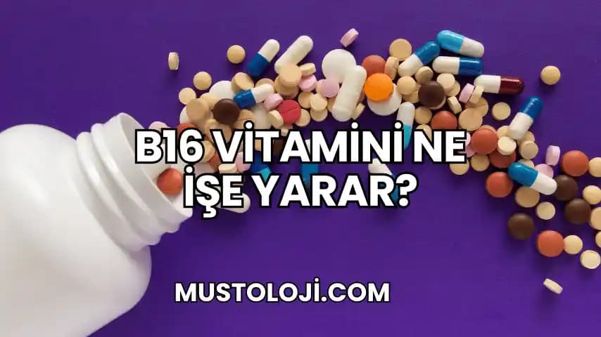 B16 Vitamini: Cilt ve Saç Sağlığında Antioksidan ve Yenileyici Etkileri