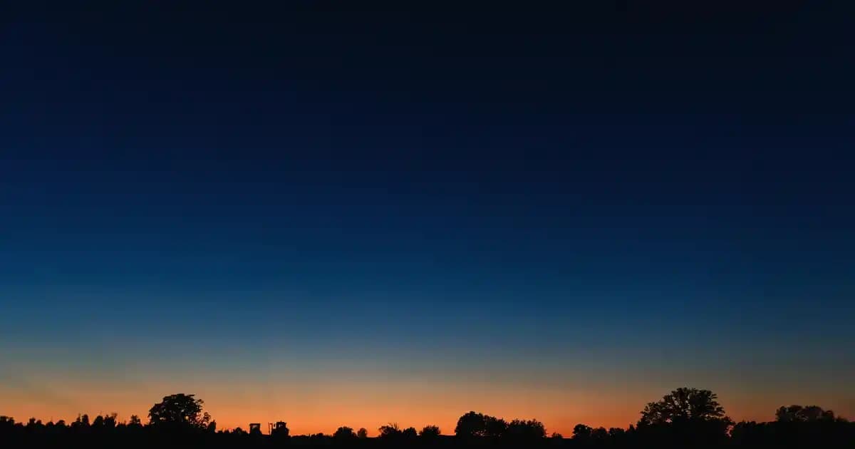 Bal Köpüğü Duvar Boyası ile Evinize Sıcak ve Zarif Dokunuşlar Katın