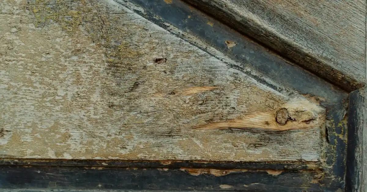 Bargello 384 Neyi Muadili? Kozmetik ve Bakım Ürünlerinde Alternatif Seçenekler