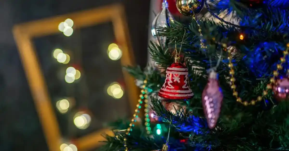 Bargello 514 Muadili Ürünler: Etkili ve Ekonomik Cilt Bakım Alternatifleri