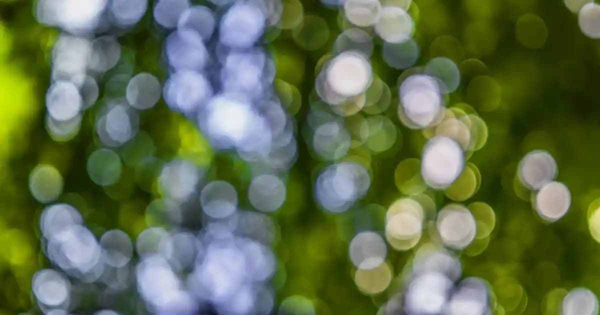 Bargello 615 Nedir? Kullanım Alanları ve Muadil Ürünlerle Kapsamlı Rehber