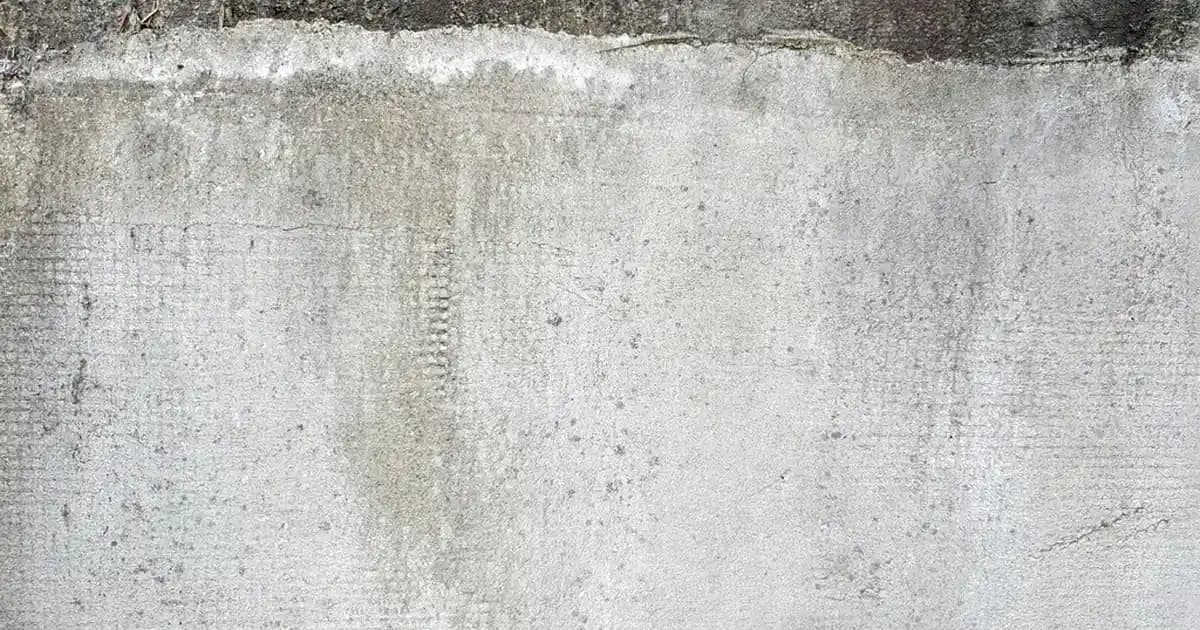 Bargello 685 Parfümün Muadili Parfümler ve Seçim Rehberi 2024