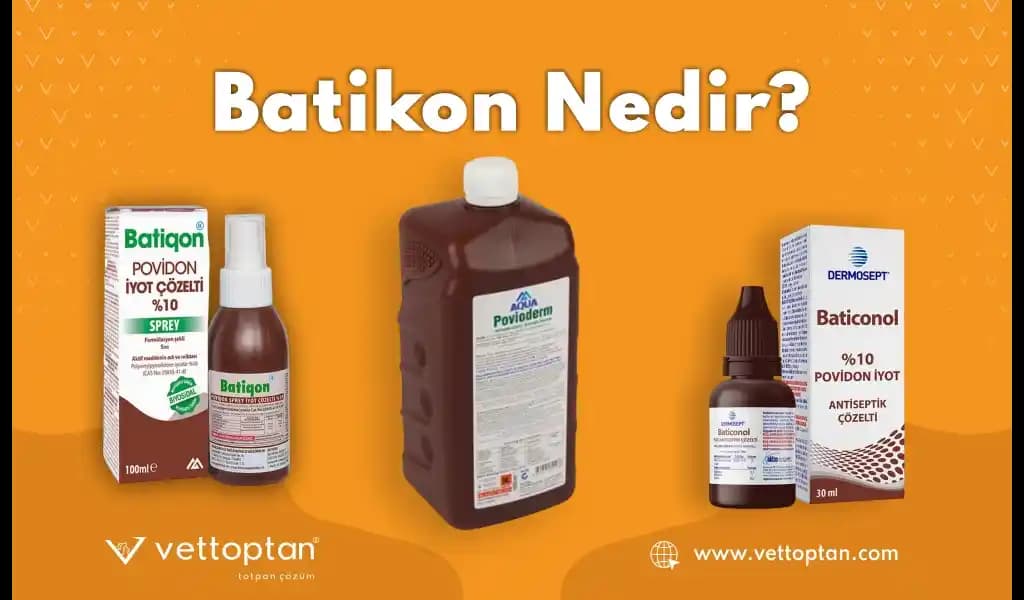 Batikon: Cilt Bakımında Etkili Antiseptik ve Enfeksiyon Önleyici Çözüm