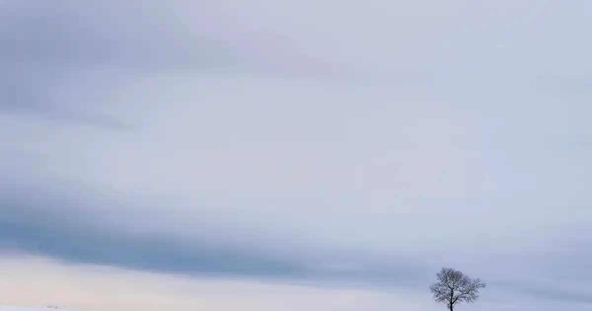 Bebeklerde Ciltte Kabarma: Nedenleri, Belirtileri ve Etkili Bakım Yöntemleri